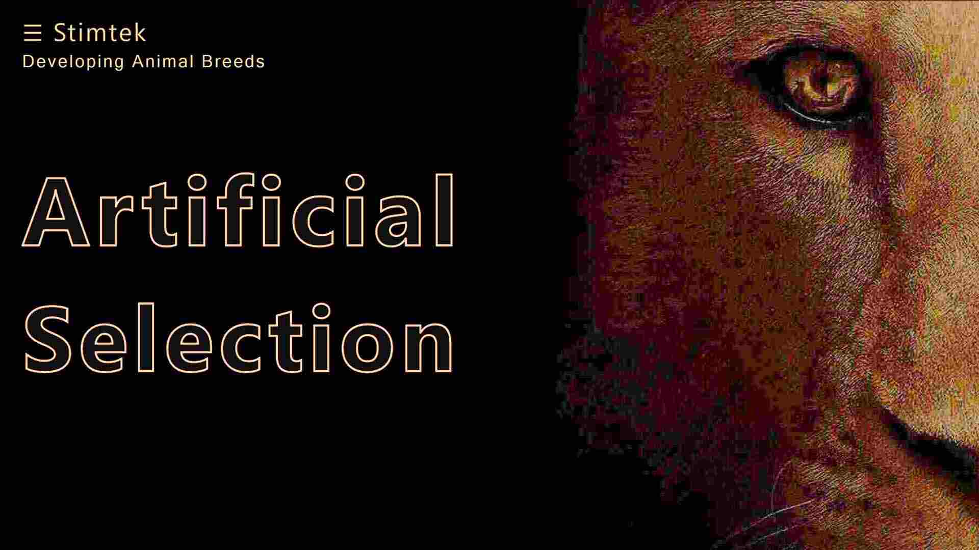 Developing Animal Breeds